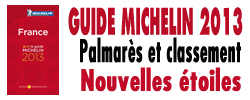 Michelin 2013