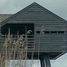 La mer des Wadden | Splendeurs naturelles et initiatives durables