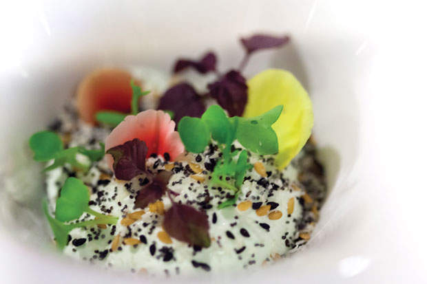 Alexandre-Mazzia-wasabiW