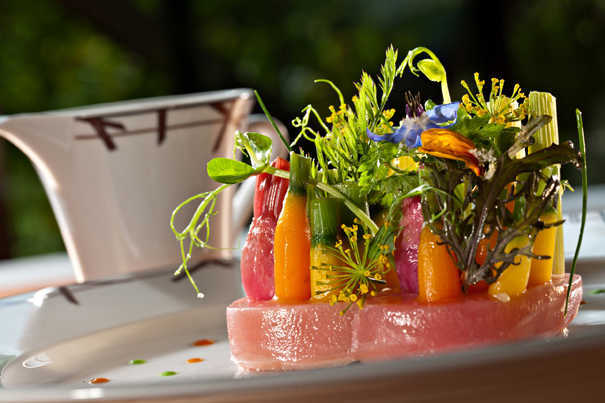 Jeunes légumes et pousses d’herbes en potager