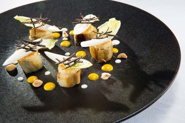 Broda-ENdive-ref39-0416