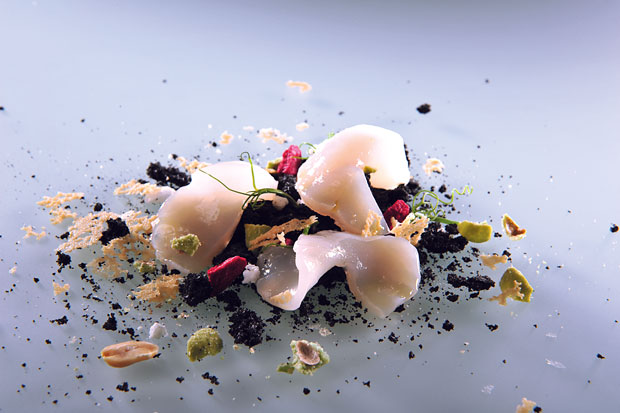 DENIS_MARTIN-PMD_716