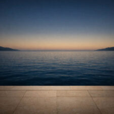 TY-GER VOSS musical artist & producteur