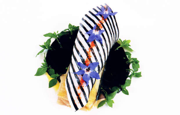 Seiche-patrice-lafon