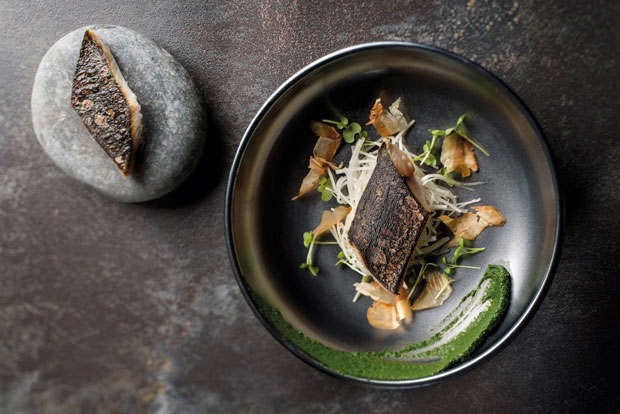 TABAREC_Maquereau_2016