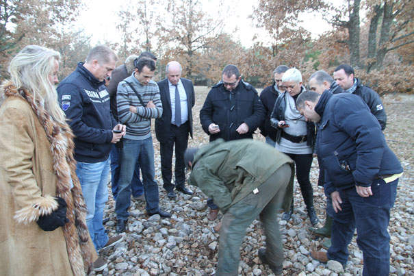 cavage-truffes-majastre