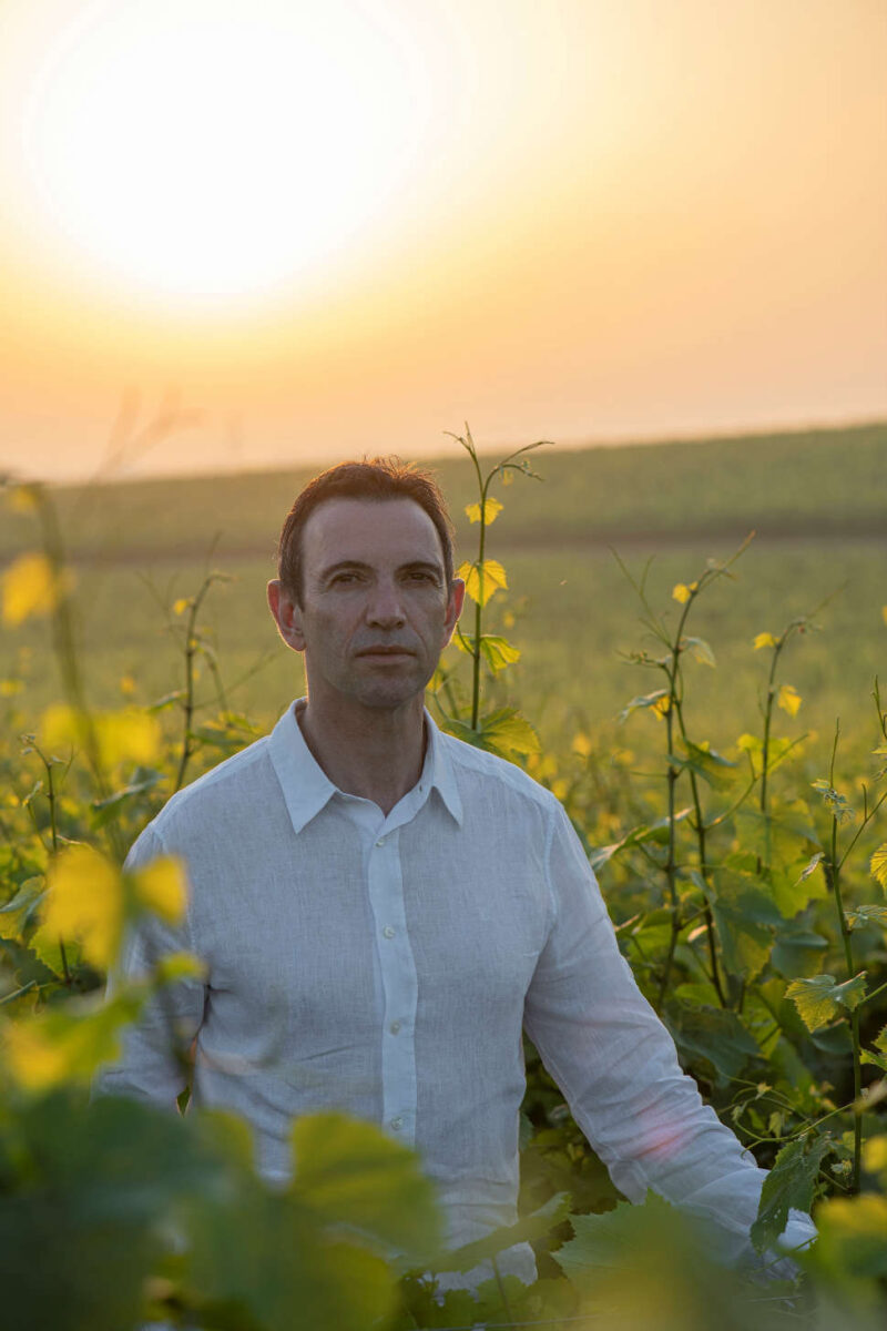 Frédéric Panaïotis