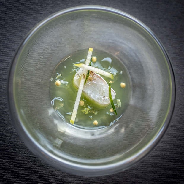 merlanebouillante-lulurouget