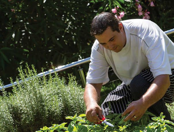 Sébastien Broda cueille les herbes